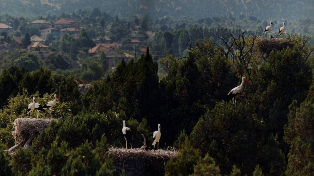 Beyşehir’de gezilecek yerler nelerdir? 26
